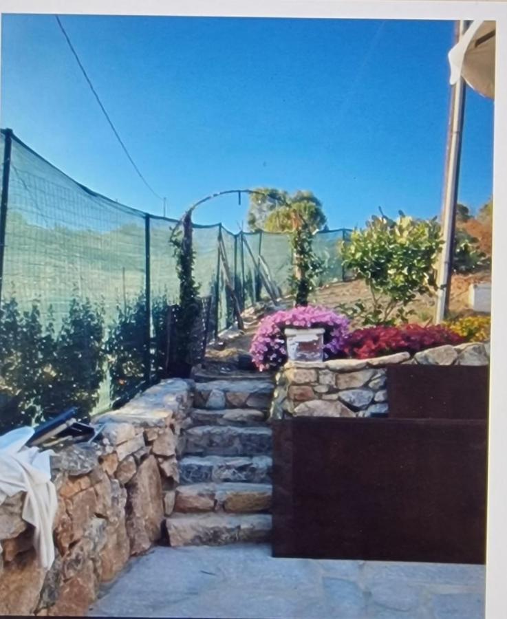 Rifugio Monte Pino Villa Telti Dış mekan fotoğraf