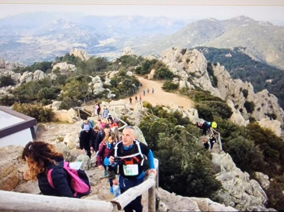 Rifugio Monte Pino Villa Telti Dış mekan fotoğraf