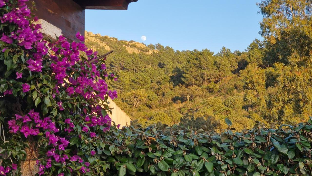 Rifugio Monte Pino Villa Telti Dış mekan fotoğraf