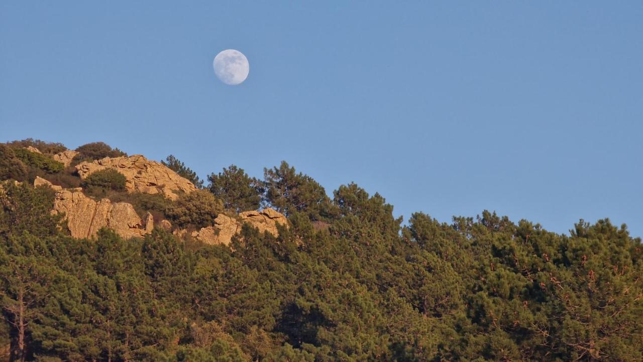 Rifugio Monte Pino Villa Telti Dış mekan fotoğraf