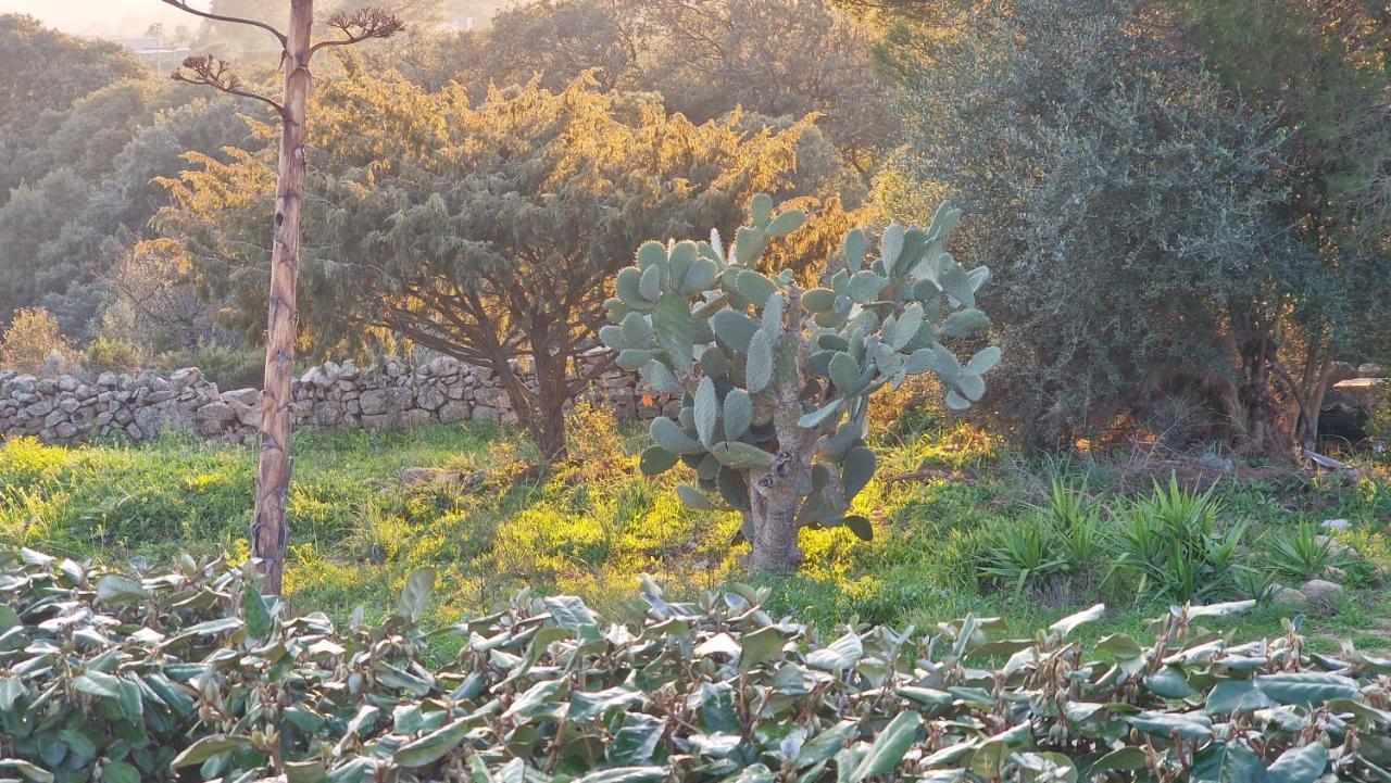Rifugio Monte Pino Villa Telti Dış mekan fotoğraf