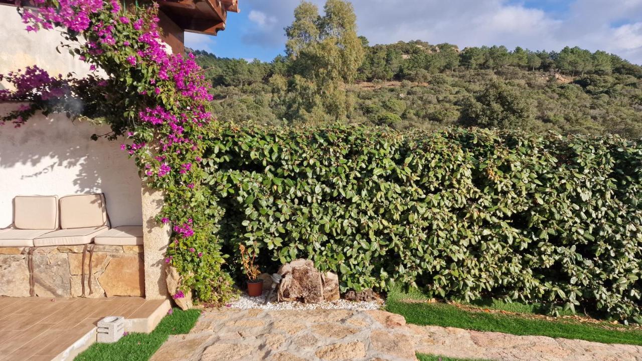 Rifugio Monte Pino Villa Telti Dış mekan fotoğraf
